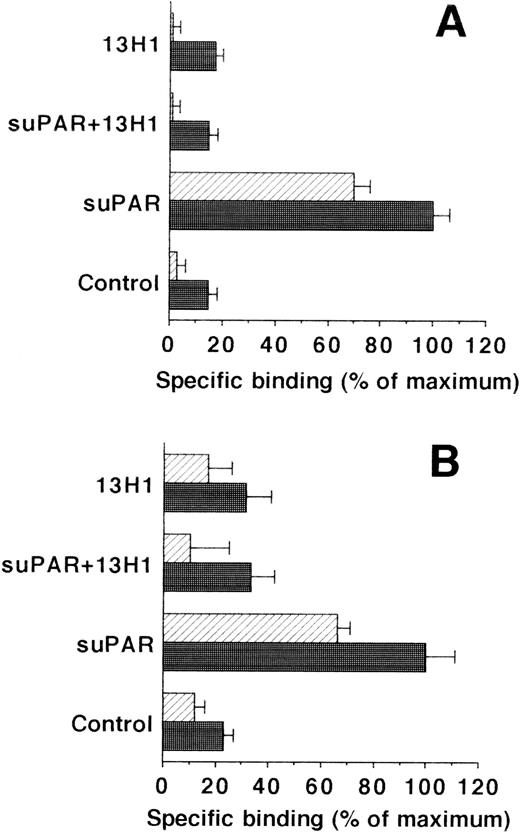 Fig. 3. Binding of uPA/suPAR-complex to piPLC pretreated vascular cells and their isolated extracellular matrix. The binding of 125I-Gly158scuPA to piPLC pretreated HVSMC (A) and HUVEC (B) (filled bars) and their respective extracellular matrix preparations (hatched bars) is compared in the absence or presence of suPAR (1 μg/mL) or MoAb-13H1 (25 μg/mL). For both cell types, data represent mean ± SEM of a typical experiment in triplicate where the maximal binding to piPLC pretreated cells in the presence of suPAR is set at 100%. Similar results were obtained in three separate experiments.