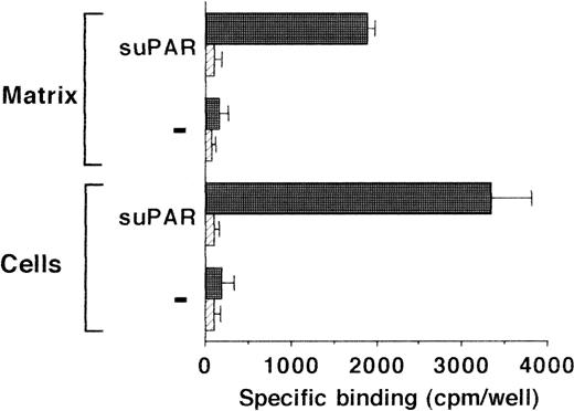 Fig. 6. Binding of 125I-Gly158scuPA to serum-free cultures of LM-TK− cells and their extracellular matrix. Cells were grown for 14 days in completely serum-free medium on gelatin- or fibronectin-coated dishes. Before the binding experiment, the cells were preincubated with buffer only (hatched bars) or with 10 μg/mL multimeric VN for 48 hours (filled bars). Binding of 125I-Gly158scuPA to cells and extracellular matrix in the absence or presence of suPAR (1 μg/mL) was performed as indicated. Results are mean ± SEM (cpm/well) of triplicate wells. Similar results were obtained in three separate experiments.