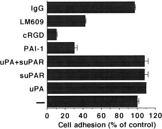 Fig. 8. Adhesion of LM-TK− cells to immobilized VN. Adhesion of cells to VN-coated wells was performed in the absence of any competitor (−) or in the presence of uPA (100 nmol/L), suPAR (1 μg/mL), cRGD (10 μg/mL), PAI-1 (200 nmol/L), anti-avβ3 MoAb-LM609 (25 μg/mL), or control MoAb-IgG (25 μg/mL) and measured by crystal violet staining. Results are expressed as percentage of adhesion to VN without competitor (mean ± SEM of triplicate wells). Similar results were obtained in six separate experiments.