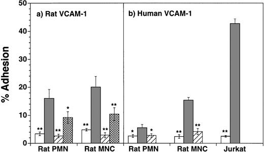 Fig. 3. Adhesion of rat neutrophils (PMN) and mononuclear cells (MNC, lymphocytes and monocytes) to untransfected and rat (panel a, n = 7) or human (panel b, n = 6) VCAM-1–transfected CHO cells. Adhesion was tested to nontransfected CHO cells, or CHO cells transfected with VCAM-1 in the presence or absence of α4 MoAb TA-2. Adhesion of rat neutrophils to rat VCAM-1 was also tested in the presence of the β1 antibody Ha2/5. β1 blocking studies were not performed for neutrophil adhesion to human VCAM-1. Data are presented as mean percent adherence ± SEM. *(P < .05) and **(P < .01) indicate values significantly different from percent adhesion to VCAM-1–transfected CHO-cells. (□), CHO; (▪), VCAM-1 CHO; (▨), VCAM-1 CHO + anti-α4 MoAb; (▩), VCAM-1 CHO + anti-β1 MoAb.