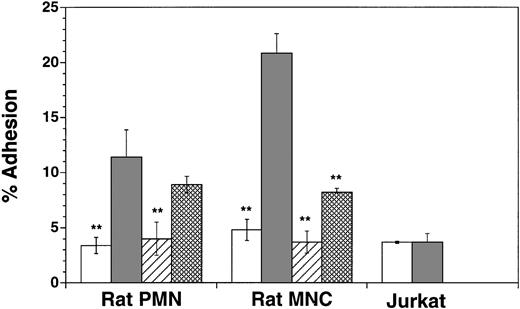 Fig. 4. Adhesion of rat neutrophils (PMN, n = 5), mononuclear cells (MNC, n = 5), or Jurkat cells (n = 4) to untransfected and human MAdCAM-1–transfected CHO cells. Adhesion was tested to nontransfected CHO cells, or CHO cells transfected with MAdCAM-1 in the presence or absence of α4 MoAb TA-2 or β1 MoAb Ha2/5. Data are presented as mean percent adherence ± SEM. **(P < .01) indicate values significantly different from percent adhesion to MAdCAM-1–transfected CHO cells. (□), CHO; (▪), MAdCAM-1 CHO; (▨), MAdCAM-1 CHO + anti-α4 MoAb; (▩), MAdCAM-1 CHO + anti-β1 MoAb.