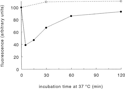 Fig. 2. Reversibility of the TRAP-induced decrease of the platelet surface expression of GPIb. A total of 15 μmol/L TRAP (•) was added at t = 0 minutes to Orgaran anticoagulated whole blood (+ dRGDW) at 37°C. As a control, no agonist (○) was added. The samples were fixed with 1% paraformaldehyde at the indicated time points. The binding of the GPIb-specific MoAb 6.20 at t = 0 minutes (before TRAP was added) was assigned 100 arbitrary units of fluorescence. Data are the mean of two separate experiments.