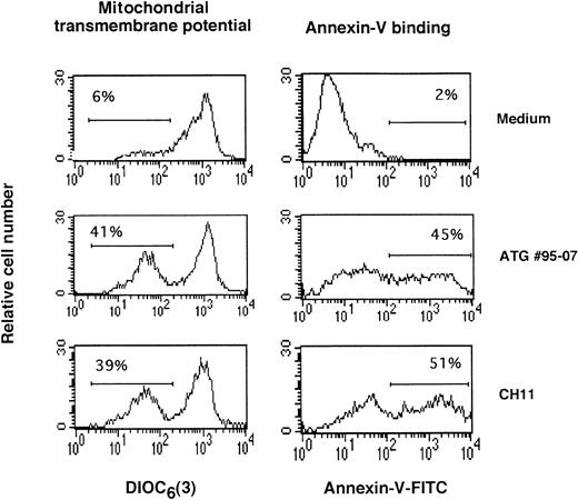 Fig. 1. Effect of ATGs on mitochondrial transmembrane potential and on phosphatidylserine expression. PBL were activated for 3 days in presence of PHA (5 μg/mL). After removal of dead cells, medium alone, ATG no. 95-07 (10 μg/mL), or CH11 anti-Fas MoAb (1 μg/mL) was added. After 12 hours, ▵Ψm modifications were evaluated by staining with DiOC6 (3). The expression of phosphatidylserine at the surface membrane was evaluated after 15 hours by measuring annexin-V binding. The percentage of cells with decreased mitochondrial potential membrane or increased expression of phosphatidylserine are indicated for each histogram. Results from one typical experiment among four showing similar percentages.