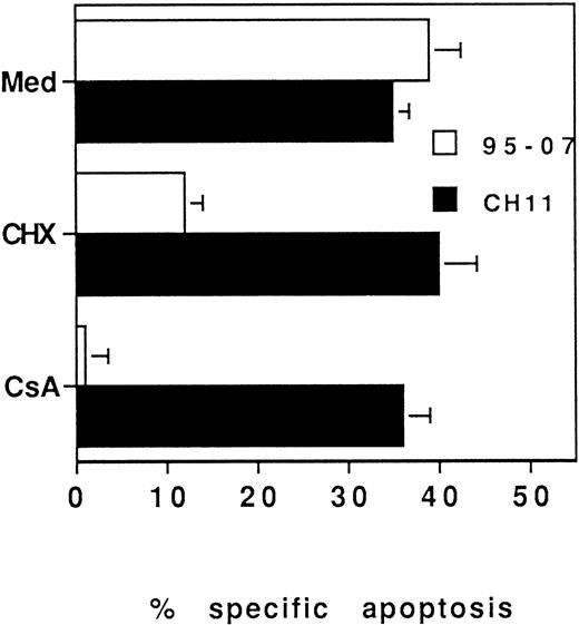 Fig. 6. ATG-induced apoptosis is inhibited by CsA and requires protein synthesis. PBL were incubated for 3 days in the presence of PHA (5 μg/mL). Dead cells were removed and viable cells were incubated for 3 hours with CsA (250 ng/mL) or CHX (0.5 μg/mL) before treatment with ATG no. 95-07 (10 μg/mL) or CH11 (1 μg/mL). Apoptosis was determined by fluorescence microscopy after staining with Hoechst 33342. Results are expressed as mean ± SD of three different experiments.