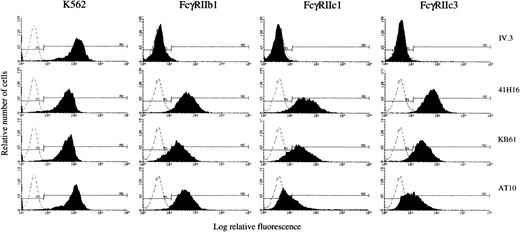 Fig. 7. Flow cytometric analysis of FcγRIIc1 and IIc3 expression in stable transfections. K562 cell line or Jurkat cells transfected with full-length cDNAs encoding FcγRIIb1, FcγRIIc1, and FcγRIIc3 were analyzed by indirect immunofluorescence staining with four anti-CD32 MoAbs (filled histograms) or with a mouse IgG isotype control (dotted line), followed by staining with FITC-GAMIgG.