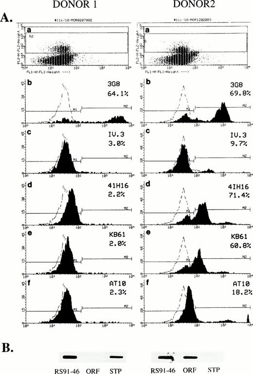 Fig. 8. Flow cytometric analysis of CD32 expression on human NK cells and its correlation with the allelic polymorphism of FcγRIIC. (A) PBLs isolated from donor 1 and donor 2 were analyzed by using PE-conjugated anti-CD56. Gated CD56+ cells (R7 box, panels a) representing NK-cell population, were then assessed for their levels of CD16 (3G8, panels b), or CD32 expression (IV.3, panels c; 41H16, panels d; KB61, panels e; and AT10 panels f). Percentages of positive CD16 and CD32 cells are shown for each histogram and are compared with the binding of mIgG isotype control. (B) SB analyses of FcγRIIc-specific RT/PCR amplifications using RS91-46 and ASO probes to detect the genotype of the two donors. The results are representative of three independent experiments.
