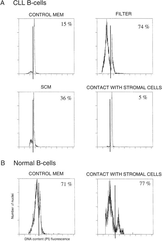 Fig. 3. DNA fluorescence (PI mediated) in CLL (A) and UCB (B) B cells cultured in various conditions.