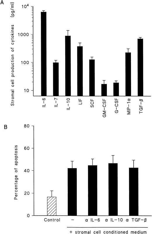 Fig. 4. (A) Cytokine production by stromal cells. Supernatant from stromal cells were collected 2 days after media change and assayed by ELISA for the above cytokines. Values are the mean ± SEM of 10 experiments. (B) Induction of B-cell apoptosis by stroma CM and influence of neutralizing antibodies to cytokines. Results are expressed as percentage of apoptotic cells and represent the mean of five experiments.