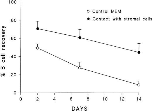 Fig. 5. Percentage of leukemic B cells recovered from culture in the presence or absence of stromal cells. Values are the mean of four experiments and refer to viable B cells after various periods of culture, determined by Typan blue exclusion and compared with those originally seeded.