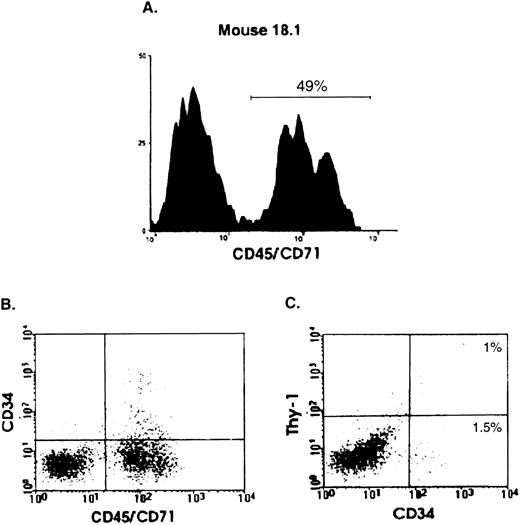 Fig. 2. Detection by flow cytometry of human CD34+Thy-1+ cells in the BM of transplanted mice. Analysis of a representative mouse (18.1) transplanted with 108 BM cells from patient 10 and killed 1 month later. (A) Histogram showing the proportion of viable (PI−) human (CD45/71)+ cells present in the BM of this mouse. (B) and (C) Percentage of CD34+ and CD34+Thy-1+ cells determined by staining with human-specific anti-CD34–FITC and anti-Thy-1–phycoerythrin antibodies. Gates defining positive cells were set to exclude greater than 99.9% of cells stained with monoclonal antibodies of the same isotype and labeled with the corresponding fluorochromes.1823