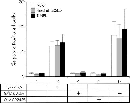 Fig. 8. Quantification of apoptosis. Cells were incubated for 6 days in the absence of retinoids or in the presence of 10−7 mol/L atRA, 10−7 mol/L CD367, 10−7 mol/L CD2425, or the combination of both 10−7 mol/L CD367 and 10−7 mol/L CD2425. Count of apoptotic cells was performed on cytospin preparations after MGG coloration, Hoechst 33258 staining, or TUNEL assay. In each case the percentage of apoptotic cells was determined in duplicate counts of 400 cells. Mean values ±SD from six independent experiments are shown.