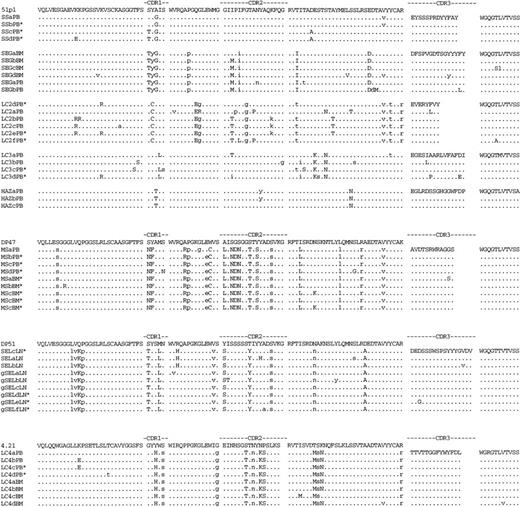 Fig. 3. Deduced amino acid sequences of immunocytoma VH genes. The amino acid sequences of the most homologous germline VH genes are shown above the lymphoma sequences. Dashes indicate sequence identity. Amino acid replacement mutations are shown as upper case letters. The location of silent mutations in the nucleotide sequence is indicated with lower case letters. PB, BM, and LN indicate the tissue from which the lymphoma VH sequence was obtained. Sequences labeled with an asterisk were obtained from an independent set of RT/PCR, cloning, and sequencing reactions. The IgG VH sequences from SEL are labeled gSEL.