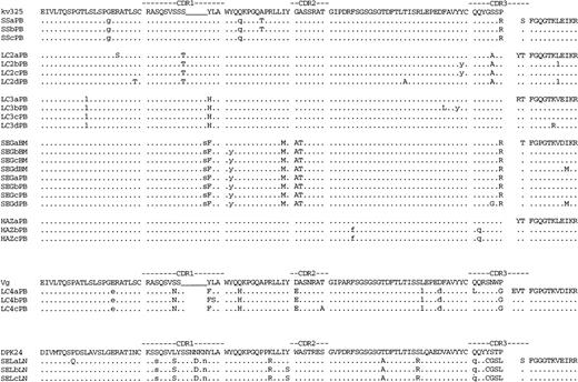 Fig. 4. Deduced amino acid sequences of immunocytoma VL genes. The amino acid sequences of the most homologous germline VL genes are shown above the lymphoma sequences. Dashes indicate sequence identity. Amino acid replacement mutations are shown as upper case letters. The location of silent mutations in the nucleotide sequence is indicated with lower case letters.