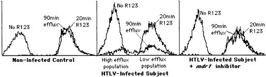 Fig. 2. Analysis of P-gp–mediated drug efflux activity in freshly isolated PBMCs from HTLV and non-HTLV–infected subjects. Rhodamine 123 (R123) dye efflux assays were used to measure the extent of drug resistance. This figure shows the results of a single representative sample; data from other subjects examined is summarized in Table 1. (Left panel) FACscan analysis of cells from a typical HTLV-negative control subject. No decrease in fluorescence is evident after a 90-minute incubation, indicating no P-gp activity. (Center panel) FACscan analysis of cells from a typical HTLV-I–infected subject. After a 90-minute incubation, two populations of cells are present, a high efflux, low fluorescence population and a low efflux, high fluorescence population. (Right panel) Inhibition of R123 efflux by P-gp inhibitors. In the presence of 5 μmol/L reserpine or 5 μmol/L verapamil (shown here), the dye efflux is blocked, indicating the specificity of this assay for P-gp.