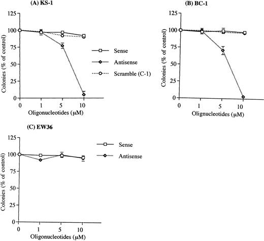 Fig. 3. Effect of human IL-6 antisense oligonucleotides on clonal growth of KSHV-infected lymphoma cell lines. The PEL cell lines (A), KS-1; (B), BC-1, and the KSHV-negative lymphoma cell line (C), EW36 were cultured in soft agar with human IL-6 sense (□), scramble (C-1) (○), or antisense (◊)phosphorotioated oligonucleotides at 1, 5, and 10 μmol/L. Results were expressed as a percentage of control cells not exposed to oligonucleotides; results represent the mean ± SD of three experiments done in triplicate. Results with another scramble oligonucleotide (C-2, ≤ 10 μmol/L) showed similar results as the C-1 scramble oligonucleotides.