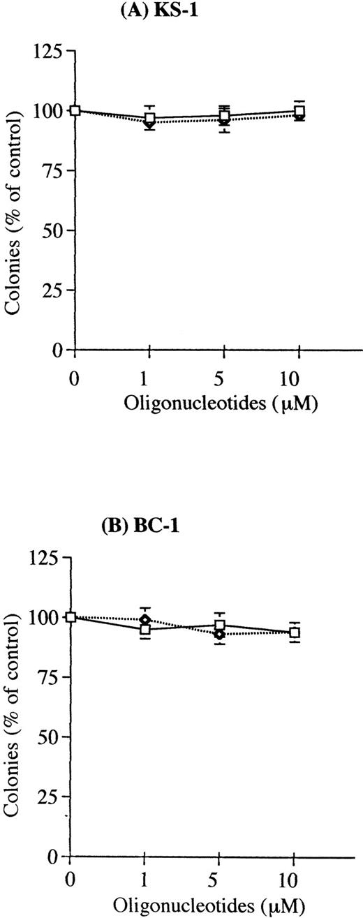 Fig. 5. Effect of viral IL-6 antisense oligonucleotides on clonal growth of KSHV-infected lymphoma cell lines. The PEL cell lines (A) KS-1 and (B) BC-1 were cultured in soft agar with either IL-6 sense (□) or antisense (◊) phosphorotioated oligonucleotides at 1, 5, and 10 μmol/L. Results were expressed as a percentage of control cells not exposed to oligonucleotides; results represent the mean ± standard deviation (SD) of three experiments done in triplicate.