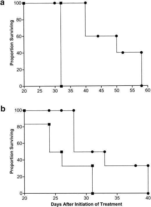 Fig. 3. Effect of flavopiridol therapy in systemic leukemia and lymphoma xenografts. (a) Kaplan and Meier survival curve of SCID mice bearing systemic human acute lymphoblastic leukemia (Nalm/6) treated with flavopiridol 7.5 mg/kg IV every other day × 5 at days 3 to 7, and repeated again at days 17 to 21 posttransplantation of cells (•). Control mice (▪) received the vehicle 1% DMSO in NaCl. (b) Kaplan and Meier survival curve of SCID mice bearing systemic human AS283 human lymphoma after one 5-day cycle of flavopiridol bolus IV therapy from days 3 to 7 posttransplantation of cells (•). Control mice received the vehicle (▪).