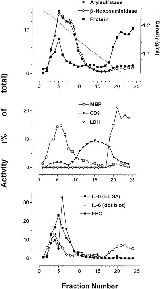 Fig. 2. Average of profiles (from 4 patients) of arylsulfatase B, β-hexosaminidase, protein, MBP, CD9, LDH, and EPO together with IL-6 immunoreactivity as determined by ELISA and dot-blot analysis. Measurements of activities were averaged and plotted as a function of collected fractions.