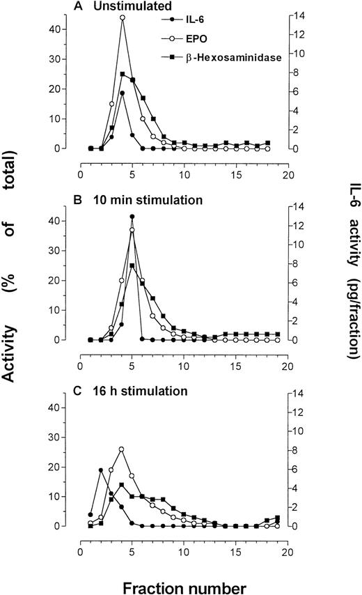 Fig. 6. Eosinophils that were subfractionated to determine effects of IFNγ incubation (500 U/mL) on IL-6 concentration or localization. Quantification of IL-6 in each fraction was made by ELISA. Marker enzyme assays used in these experiments were EPO and β-hexosaminidase. The experiments were conducted at different times using purified blood eosinophils from the same donor. (A) Unstimulated eosinophils, followed by eosinophils stimulated for (B) 10 minutes and (C) 16 hours by IFNγ. An average of 50 × 106eosinophils were used for each preparation.