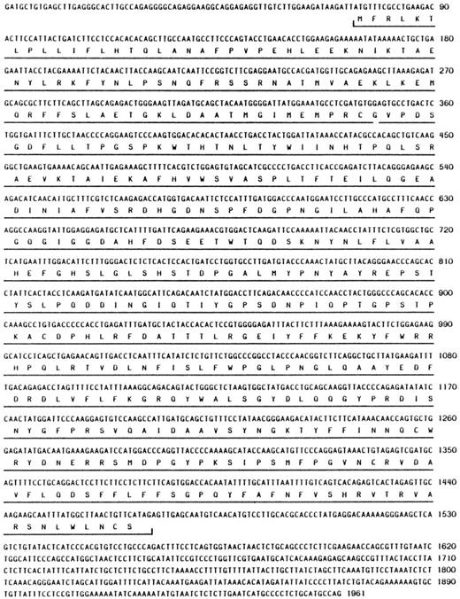Fig. 1. Nucleotide and putative amino acid sequence of mNC.