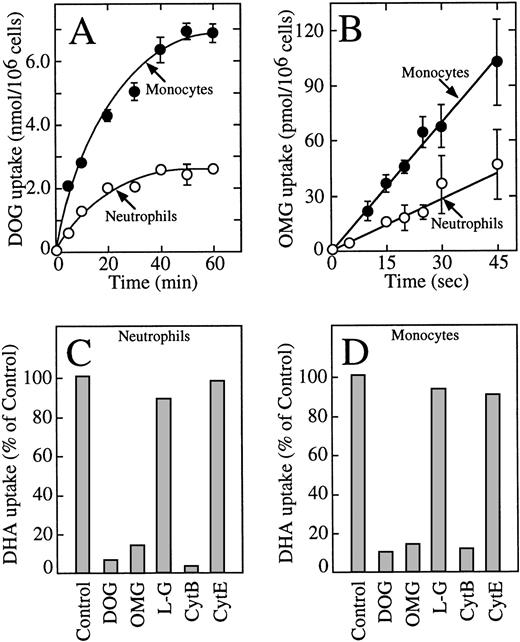 Fig. 2. Human neutrophils and monocytes take up dehydroascorbic acid through facilitative glucose transporters. (A) Uptake of deoxyglucose (DOG) by human neutrophils (○) and monocytes (•). (B) Transport of methylglucose (OMG) by human neutrophils (○) and monocytes (•). (C) Effect of competitors and inhibitors on the uptake of dehydroascorbic acid by human neutrophils. Uptake was assayed in the absence (control) or in the presence of 30 mmol/L deoxyglucose, methylglucose, or L-glucose (LG), or the cells were incubated with 20 μmol/L cytochalasin B (CytB) or cytochalasin E (CytE) for 5 minutes before the uptake assay. (D) Effect of competitors and inhibitors on the uptake of dehydroascorbic acid by human monocytes. Uptake was assayed in the absence (control) or in the presence of 30 mmol/L deoxyglucose, methylglucose, or L-glucose, or the cells were incubated with 20 μmol/L cytochalasin B or cytochalasin E for 5 minutes before the uptake assay. For (A and B), the data represent the mean ± SD of four samples and correspond to one of three similar experiments. For (C and D), the data represent the average of two experiments performed in duplicate.