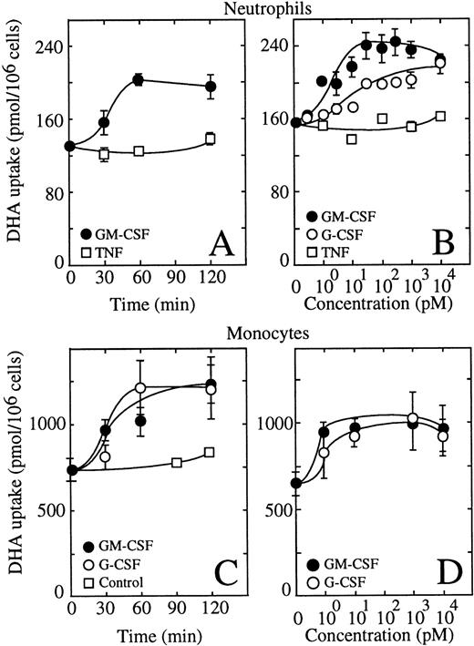 Fig. 3. GM-CSF and G-CSF increase the uptake of dehydroascorbic acid (DHA) by human neutrophils and monocytes. (A) Time course of the effect of GM-CSF (•) and TNF (□) on the uptake of dehydroascorbic acid by human neutrophils. Cells were treated with 0.5 nmol/L GM-CSF or 1 nmol/L TNF for the time periods indicated in the figure. Uptake of dehydroascorbic acid was measured afterwards in a 5-minute assay. Data represent the mean ± SD of four samples. (B) Dose-dependence of the effect of GM-CSF (•), G-CSF (○) and TNF (□) on the uptake of dehydroascorbic acid by human neutrophils. Cells were incubated for 30 minutes in the presence of the indicated concentrations of the different agonists and uptake of dehydroascorbic acid was measured in a 5-minute assay. (C) Time course of the effect of GM-CSF (•) and G-CSF (○) on the uptake of dehydroascorbic acid by human monocytes. Cells were treated with 0.5 nmol/L GM- or G-CSF, or left untreated (controls, □), for the time periods indicated in the figure. Uptake of dehydroascorbic acid was measured afterwards in a 5-minute assay. Data represent the mean ± SD of four samples. (D) Dose-dependence of the effect of GM-CSF (•) and G-CSF (○) on the uptake of dehydroascorbic acid by human monocytes. Cells were incubated for 30 minutes in the presence of the indicated concentrations of the different agonists and uptake of dehydroascorbic acid was measured in a 5-minute assay. Data represent the mean ± SD of four samples and correspond to one of three similar experiments.