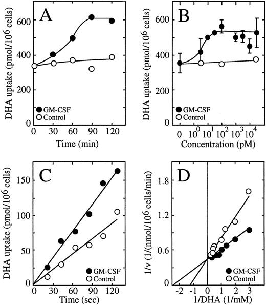 Fig. 4. GM-CSF increases the transport of dehydroascorbic acid by HL-60 neutrophils. (A) Time-course of the effect of GM-CSF. Cells were incubated for varied times in the absence (○) or in the presence (•) of 0.5 nmol/L GM-CSF before measuring the uptake of dehydroascorbic acid (DHA). Data represent the average of two experiments with three replicates each. (B) Dose-response of the effect of GM-CSF. Cells were incubated for 30 minutes in the presence of different concentrations of GM-CSF and uptake of dehydroascorbic acid was measured afterwards. Data represent the mean ± SD of four samples and correspond to one of three similar experiments. (C) Effect of GM-CSF on the transport of dehydroascorbic acid. Cells were incubated for 30 minutes in the absence (○) or in the presence (•) of 0.5 nmol/L GM-CSF and transport of dehydroascorbic acid was measured afterwards. Data represent the average of two experiments with three replicates each. (D) Double reciprocal plot of the effect of GM-CSF on the substrate dependence for dehydroascorbic acid transport. Cells were incubated for 30 minutes in the absence (○) or in the presence (•) of 0.5 nmol/L GM-CSF and transport of dehydroascorbic acid was measured for 30 seconds. Data represent the mean of four samples and correspond to one of three similar experiments.