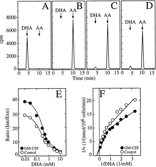 Fig. 5. GM-CSF increases the accumulation of ascorbic acid by HL-60 neutrophils. (A) HPLC separation of dehydroascorbic acid generated by treating a sample of ascorbic acid with ascorbic acid oxidase. The arrows indicate the elution positions of dehydroascorbic acid (DHA) and ascorbic acid (AA). (B) HPLC separation of a commercial preparation of ascorbic acid after treatment with 1 mmol/L DTT. (C) HPLC separation of a cellular extract from cells incubated with 100 μmol/L dehydroascorbic acid. (D) HPLC separation of a cellular extract from cells incubated with 10 mmol/L dehydroascorbic acid. Data (A through D) represent the result of one of three similar experiments. (E) Accumulation of ascorbic acid. Cells were incubated for 30 minutes in the absence (○) or in the presence (•) of 0.5 nmol/L GM-CSF and afterwards the accumulation of ascorbic acid as a function of different concentrations of dehydroascorbic acid was measured for 10 minutes. Data are expressed as the ratio of the intracellular concentration of ascorbic acid to the extracellular concentration of dehydroascorbic acid. Data represent the mean ± SD of four samples and correspond to one of three similar experiments. (F) Double reciprocal plot of the substrate dependence for ascorbic acid accumulation. Cells were incubated for 30 minutes in the absence (○) or in the presence (•) of 0.5 nmol/L GM-CSF and accumulation of ascorbic acid as a function of different concentrations of dehydroascorbic acid was measured at 10 minutes. Data represent the mean of four samples and correspond to one of three similar experiments.