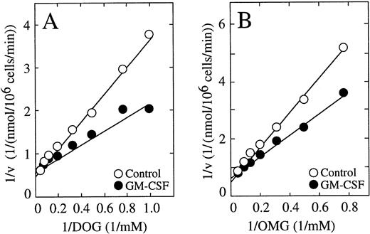 Fig. 6. Effect of GM-CSF on the uptake of deoxyglucose (DOG) and methylglucose (OMG) by HL-60 neutrophils. (A) Double reciprocal plot of the effect of GM-CSF on the substrate dependence for deoxyglucose transport. Cells were incubated for 30 minutes in the absence (○) or in the presence (•) of 0.5 nmol/L GM-CSF and transport of deoxyglucose was measured at 30 seconds. Data represent the mean of four samples. (B) Double reciprocal plot of the effect of GM-CSF on the substrate dependence for methylglucose transport. Cells were incubated for 30 minutes in the absence (○) or in the presence (•) of 0.5 nmol/L GM-CSF and transport of methylglucose was measured at 30 seconds. Data represent the mean of four samples and correspond to one of three similar experiments.