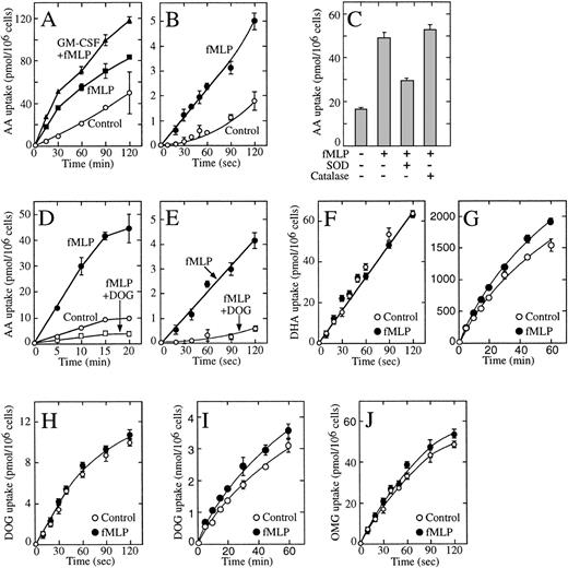 Fig. 7. Effect of fMetLeuPhe on the uptake of dehydroascorbic acid (DHA) and ascorbic acid (AA) by HL-60 neutrophils. (A) Effect of GM-CSF and fMetLeuPhe on the uptake of ascorbic acid (AA). Cells were incubated in the absence (○, ▪) or in the presence (▴) of GM-CSF for 30 minutes. Afterwards, uptake of ascorbic acid was assayed in the absence (control, ○) or in the presence (▪, ▴) of 5 μmol/L fMetLeuPhe. (B) Effect of fMetLeuPhe on the initial uptake of ascorbic acid. Uptake of ascorbic acid was assayed in the absence (○) or in the presence (•) of 5 μmol/L fMetLeuPhe. (C) Effect of superoxide dismutase and catalase on the uptake of ascorbic acid uptake. Uptake was measured for 10 minutes in the presence of fMetLeuPhe and superoxide dismutase (SOD) or catalase. (D) Effect of deoxyglucose (DOG) on the uptake of ascorbic acid in cells treated with fMetLeuPhe. Uptake of ascorbic acid was assayed in the absence (○) or in the presence (□, •) of 5 μmol/L fMetLeuPhe and 50 mmol/L deoxyglucose (□). (E) Effect of deoxyglucose on the initial phase of transport of ascorbic acid (AA) by cells treated with fMetLeuPhe. Cells were incubated in medium containing radiolabeled ascorbic acid and 5 μmol/L fMetLeuPhe with (○) or without (•) 50 mmol/L deoxyglucose. (F) Effect of fMetLeuPhe on the transport of dehydroascorbic acid. Transport was assayed in the absence (○) or in the presence (•) of 5 μmol/L fMetLeuPhe. (G) Effect of fMetLeuPhe on the long-term uptake of dehydroascorbic acid. Uptake was assayed in the absence (○) or in the presence (•) of 5 μmol/L fMetLeuPhe. (H) Effect of fMetLeuPhe on transport of deoxyglucose. Transport was assayed in the absence (○) or in the presence (•) of 5 μmol/L fMetLeuPhe. (I) Effect of fMetLeuPhe on the long-term uptake of deoxyglucose. Uptake was assayed in the absence (○) or in the presence (•) of 5 μmol/L fMetLeuPhe. (I) Effect of fMetLeuPhe on the transport of methylglucose (OMG). Transport was assayed in the absence (○) or in the presence (•) of 5 μmol/L fMetLeuPhe. Data represent the mean ± SD of four samples and correspond to one of two to four similar experiments.