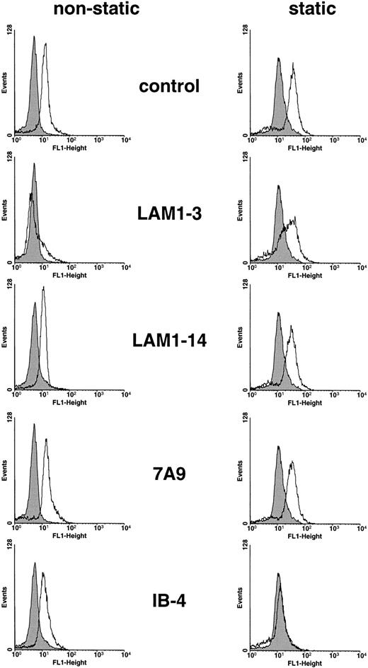 Fig. 4. Inhibitory effects of MoAbs against L-selectin (LAM1-3), E-selectin (7A9), and CD18 (IB-4) on the respiratory burst of neutrophils under shear stress (left histograms) and static conditions (right histograms). Control experiments were performed in the presence of buffer instead of MoAbs (control), or the MoAb LAM1-14, recognizing a nonfunctional epitope of L-selectin (LAM1-14). Endothelial cells were preactivated with IL-1 (30 ng/mL) for 4 hours. Neutrophils on resting endothelial cells in the absence of ICs, were used as control (filled histograms). The data are representative of three experiments.
