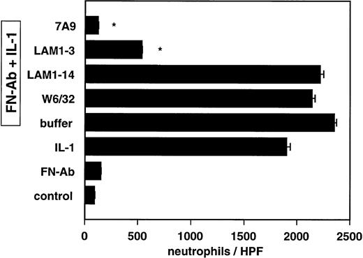 Fig. 5. Adhesion of neutrophils to IC-bearing and IL-1 activated (30 ng/mL for 4 hours) or resting endothelial cells under nonstatic conditions. The role of L-selectin and E-selectin in mediating neutrophil adhesion to IC-bearing, IL-1-activated endothelial cells was determined by preincubating neutrophils and endothelial cells for 30 minutes at 4°C with the indicated MoAbs diluted at 10 μg/mL. The adhesion assay was performed under rotation (64 rpm) for 10 minutes at 37°C, keeping the concentration of MoAbs at 10 μg/mL. Experiments with resting, IC-bearing, and IL-1-activated endothelial cells (first three bars from the bottom) were performed. Control experiments contained buffer instead of MoAbs (Buffer). Values are expressed as mean ± SEM of three experiments; *P < .0001 for MoAbs v buffer.