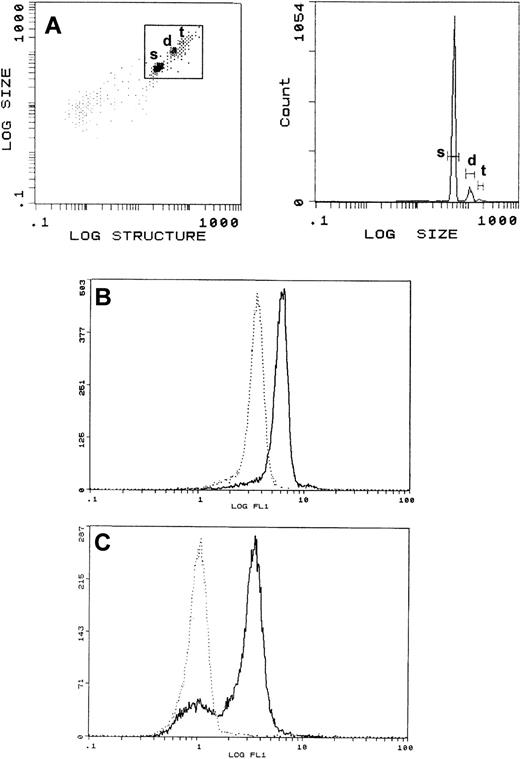 Fig. 3. Characteristics of rat exosome-bead conjugates. (A) The size/structure of exosome-bead conjugates was analyzed using a Coulter Epics XL. The window set as in the left panel allowed visualization of populations of conjugates with single (s), double (d), and triple (t) sized beads (right panel). The window was then set to measure only fluorescence associated with single-bead complexes. (B) Representative flow cytometric analysis of WGA-FITC labeled exos-beads. Conjugates were incubated with lectin, washed, and FACS analysis was performed before (solid line) and after (dotted line) the addition of detergent. (C) Surface expression of AChE on conjugates (solid line). Background staining was obtained by labeling the exosome-bead conjugates only with GAR-FITC (dotted line).