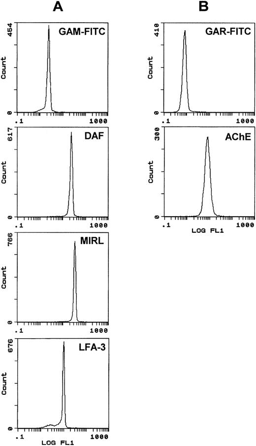 Fig. 4. Flow cytometric analysis of DAF, MIRL, LFA-3, and AChE expression on human exosome-bead conjugates. Staining for DAF/MIRL/LFA-3 (A) and AChE (B) was performed as detailed in Materials and Methods. Labeling only with the respective FITC-conjugated anti-IgG was used as background staining. Typical labeling patterns obtained from the same preparation of exosome-bead conjugates are presented.