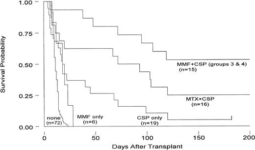 Fig. 3. Survival of dogs administered 9.2 Gy TBI followed by hematopoietic grafts from DLA-nonidentical donors. Dogs were administered either no immunosuppression, MMF alone, CSP alone, MTX+CSP, or MMF+CSP. For details on the immunosuppressive regimens, see Tables 1 and 4.