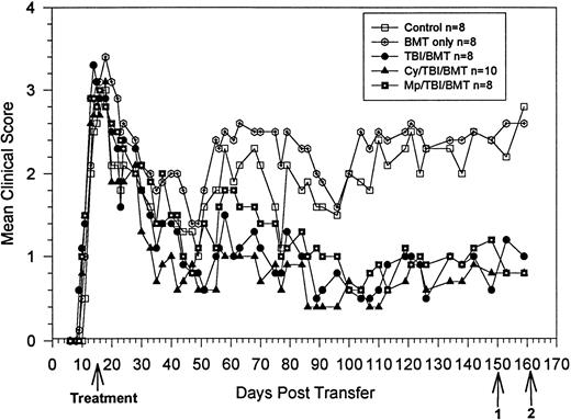 Fig. 1. BMT at peak of acute disease. Clinical course is reported in terms of the mean clinical score, which is the total score for animals in a group divided by the number of animals in the group. Statistical analysis by the Student t-test on day 140 showed significant clinical improvement in the treatment groups, withP = .009 for TBI, P = .004 for Cy/TBI, andP = .01 for MP/TBI. Bold arrow indicates time of treatment. Arrow 1 indicates killing of 3 animals from each group for proliferation and ELISA assays. Arrow 2 indicates killing of 1 animal from each group for histology and use of 3 animals from each group for DTH.