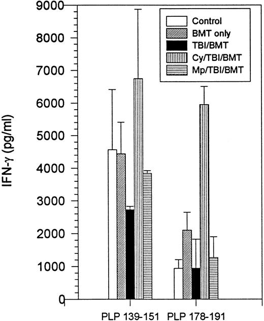 Fig. 3. BMT at peak of acute disease. Day 150 splenocyte IFN-γ production following incubation with PLP 139-151 or PLP 178-191. Splenocytes from naive mice had no detectable IFN-γ production.