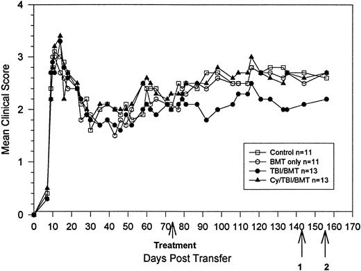 Fig. 5. BMT in chronic phase. Clinical course is reported in terms of the mean clinical score. There is no statistically significant difference between treated and untreated mice. Bold arrow indicates time of treatment. Arrow 1 indicates killing of 3 animals from each group for proliferation and ELISA assays and use of 3 animals from each group for DTH. Arrow 2 indicates killing of 1 animal from each group for histology and 3 from each group for RT-PCR of the spinal cord.