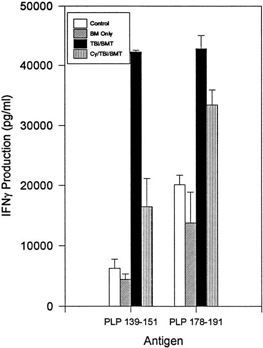 Fig. 7. BMT in chronic phase. Day 142 splenocyte IFN-γ production following incubation with PLP 139-151 or PLP 178-191. Splenocytes from naive mice had no detectable IFN-γ production.