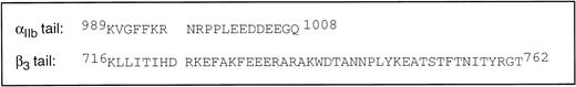 Fig. 4. Amino acid sequences of the cytoplasmic tails of αIIb and β3. The space inserted into each sequence arbitrarily separates the N-terminal membrane-proximal and C-terminal membrane-distal regions, the significance of which is discussed further in the text. Numbered residues are as in the full-length integrin subunit.