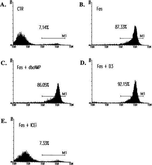 Fig. 3. Inability of cAMP and C60(D3) to prevent Fas-induced apoptosis as assessed by annexin V binding. Jurkat cells were treated with CH-11 and inhibitors for 14 hours as described in Fig 2. Cells were washed, resuspended in annexin V-FITC (1 μg/mL; Clontech), and analyzed on FACScan. M1 is designated as the fraction of apoptotic cells. In data not shown, cells treated with ceramide were similarly assayed. cAMP, (C60)D3, and ICEi were used at the same concentration as in Fig 2B.