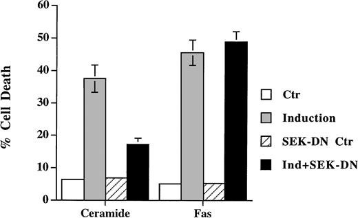 Fig. 4. Dominant negative mutant of SEK prevented ceramide- but not Fas-induced apoptosis. Jurkat cells were transfected with 5 μg of either SEK1(A→L) or pEBG vector, together with 5 μg of pEGFP-N1 (Clontech). Thirty-six hours later, cells were untreated (Ctr) or treated with either C2-ceramide (5 μmol/L) or anti-Fas antibody CH11 (100 ng/mL) (Induction). Ceramide-induced cell death was analyzed 6 hours later, whereas Fas-induced cell death were quantitated 12 hours later. Data are the average of duplicates.