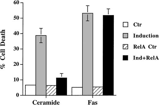 Fig. 5. Differential sensitivity of ceramide- and Fas-triggered cell death to activation of NF-κB. Jurkat cells were transfected with 5 μg of either CMV-RelA or CMV vector, together with 5 μg of pEGFP-N1 (Clontech). Thirty-six hours later, cells were untreated or treated with either C2-ceramide (5 μmol/L) or anti-Fas antibody CH11 (100 ng/mL). Ceramide-induced cell death was analyzed 6 hours later, whereas Fas-induced cell death were quantitated 14 hours later. Data are the average of duplicates.