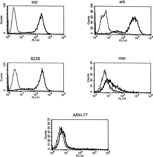 Fig. 1. Expression of syndecan-1 by myeloma cell lines. Myeloma cell lines (ark, arp, RPMI-8226, mer, and ARH-77) were stained with FITC-labeled anti–syndecan-1 antibody (B-B4) (thick line) or isotype control (thin line), and fluorescence intensity was analyzed using flow cytometry.