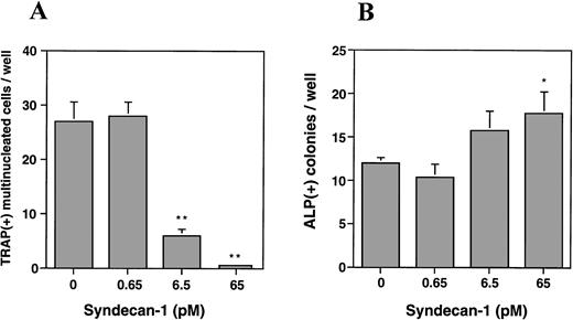 Fig. 9. Effect of syndecan-1 on multinucleate (> 3 nuclei) TRAP-positive and ALP-positive cell formation in murine bone marrow cultures. Bone marrow cells (106 cells/well) were cultured in α-MEM containing media in multiwell dishes for a total of 8 days. (A) Syndecan-1 inhibits osteoclastogenesis: Either 10−8mol/L 1,25(OH)2D3 alone or 10−8mol/L 1,25(OH)2D3 with 0.65 to 65 pmol/L syndecan-1 purified by immunoaffinity chromatography was added during the last 4 days in the culture period and cells were stained for TRAP. One of three representative experiments is shown. (B) Syndecan-1 promotes osteoblastogenesis: 0.65 to 65 pmol/L syndecan-1 was added during the last 4 days in the culture period and cells were stained for ALP. One of three representative experiments is shown. (C) Inhibition of osteoclast development by syndecan-1 does not require the intact syndecan ectodomain. Purified intact syndecan-1 ectodomain (45 pmol/L), syndecan-1 pretreated with heparitinase (Hase), purified syndecan-1 GAGs, or heparin (1 μg/mL) was added for the last 4 days in the culture period and cells were stained for TRAP. (D) Promotion of osteoblast development by syndecan-1 does not require the intact syndecan ectodomain. Purified intact syndecan-1 ectodomain (45 pmol/L), syndecan-1 pretreated with heparitinase (Hase), GAGs purified from syndecan-1, or heparin (1 μg/mL) was added for the last 4 days in the culture period and cells were stained for ALP (*P < .05; **P < .01).