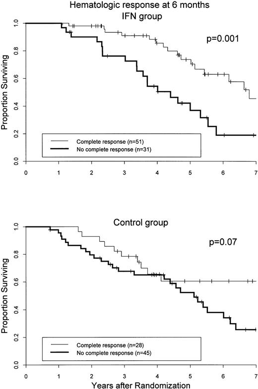 Fig. 4. Prognostic value of obtaining a complete hematologic response at 6 months for both treatment groups. The numbers of patients from whom data were available to calculate the hematologic response at 6 months ±4 weeks after randomization are given. Survival is calculated after a landmark analysis at 6 months. Curves are based on the intention to treat, regardless of any protocol violation or cause of death. Data on those patients that underwent BMT during chronic phase were censored as of the date of transplantation.
