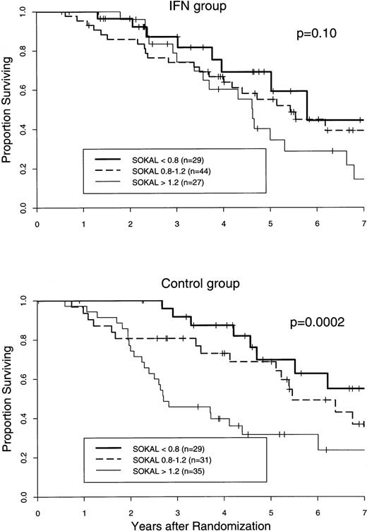 Fig. 6. Survival curves of CML patients treated with IFN-α2b or hydroxyurea only, related to the Sokal prognostic score. Curves are based on the intention to treat, regardless of any protocol violation or cause of death. Data on those patients that underwent BMT during chronic phase were censored as of the date of transplantation.