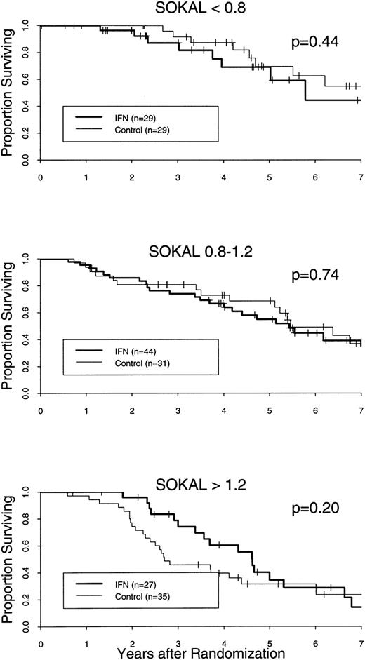 Fig. 7. Survival curves of CML patients treated with IFN-α2b or hydroxyurea only, related to the Sokal prognostic score, and shown for the different prognostic groups separately. Curves are based on the intention to treat, regardless of any protocol violation or cause of death. Data on those patients that underwent BMT during chronic phase were censored as of the date of transplantation. Only for the group with an unfavorable risk profile (Sokal score >1.2) is a trend (log-rank, P = .20; Breslow, P = .03) for better survival seen in favor of IFN therapy.