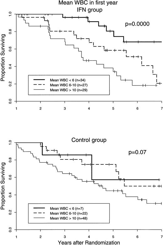 Fig. 8. Survival curves from the first year on of CML patients treated with IFN-α2b or hydroxyurea only, related to WBC control during the first year of therapy. Only data from patients with 6 or more analyses during this period were used. Curves are based on the intention to treat, regardless of any protocol violation or cause of death. Data on those patients that underwent BMT during chronic phase were censored as of the date of transplantation.