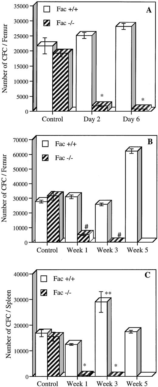Fig. 5. In vivo MMC sensitivity of CFC from BM and spleen cells of Fac +/+ and Fac −/− mice. (A) The number of CFC established 2 and 6 days after a single MMC injection (0.75 mg/kg). (B and C) The number of CFC in BM (B) and spleen (C) after 1, 3, and 5 weekly injections of MMC (0.3 mg/kg). Controls represent saline-injected mice. Data represent the mean ± SEM of triplicate determinations from 2 mice. Significant differences between controls and MMC-injected mice (*P < .01; **P < .05; #P < .005; ##P < .0005). The absence of SEM bars represents values too low to appear in the graph.